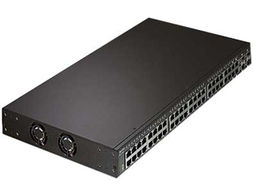 ZyXEL GS-1548网络交换机在东莞国龙IT168经销商的销售分析